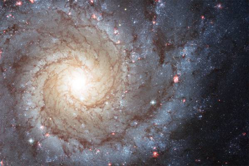 Das Bild Spiral-Galaxie 1 wird geladen ...
